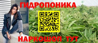 стаф Партизанск