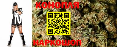 стаф Партизанск